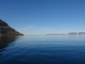 39 aalglatter eisfjord
