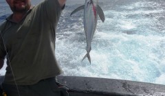 cave 51 kleiner thun