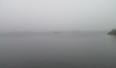 sprottenfaenger   blekinge natur 54