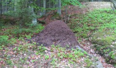 sprottenfaenger   blekinge natur 55