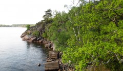 sprottenfaenger   blekinge natur 61