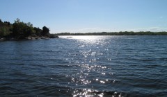 sprottenfaenger   blekinge natur 62