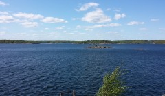 sprottenfaenger   blekinge natur 66