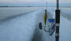 bodden 2013 0049