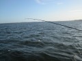 bodden 2013 0099